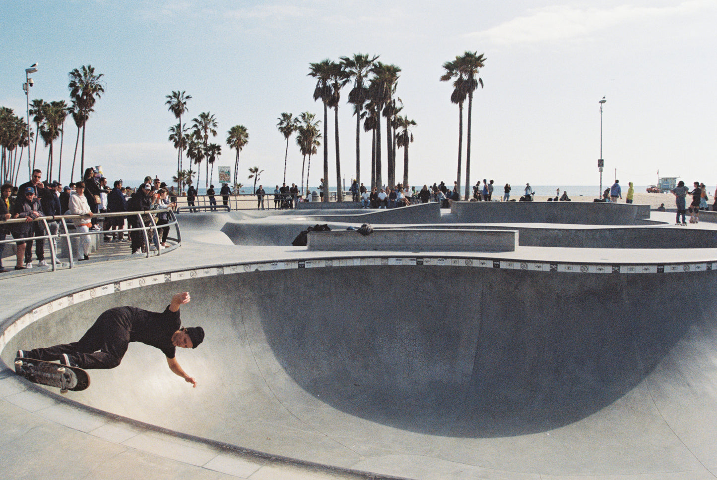 Venice Beach Skate